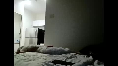 htxsaucehoggn online show from 12, 4, 2026