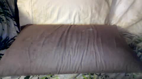 hung420boner online show from 12, 6, 2026