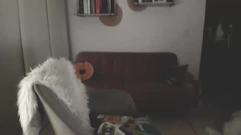 Lana Banana online show from 7, 11, 2025