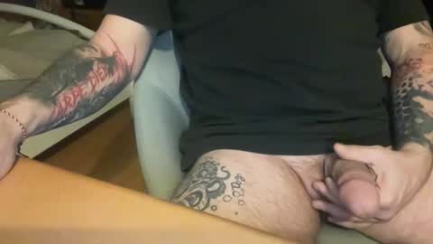 iadorekitties online show from 3, 2, 2026