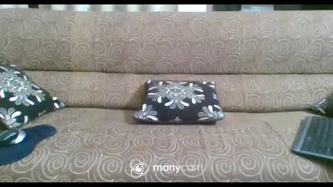 JP online show from 21, 2, 2025