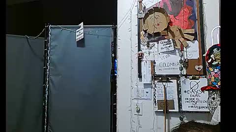 PMS online show from 31, 12, 2024