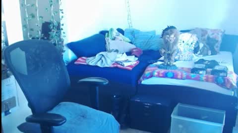 PMS online show from 24, 2, 2025