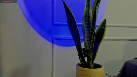 Snapshot of ice_princess__ chatting on 2, 10, 2025 Crystall online show from 2, 10, 2025