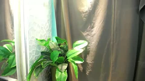 Heart online show from 3, 2, 2026