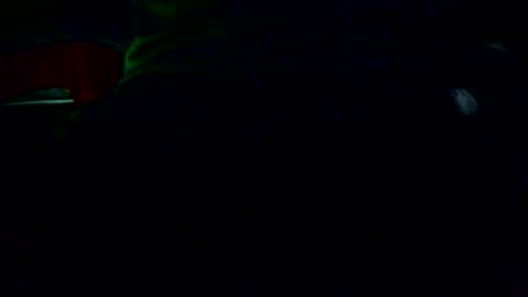 Snapshot of ifanta chatting on 4, 12, 2025 Nicolas online show from 4, 12, 2025