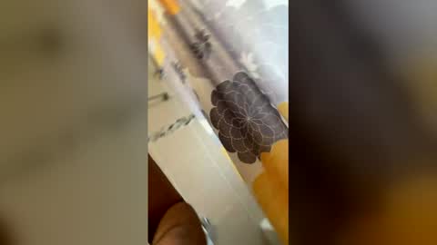 Snapshot of ikaikagora00 chatting on 5, 3, 2026 ikaikagora00 online show from 5, 3, 2026