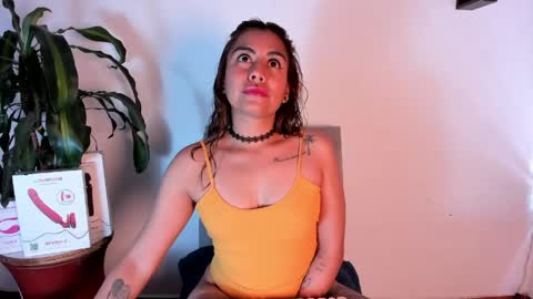 amber online show from 4, 6, 2026