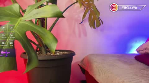 Snapshot of im_bryan chatting on 12, 2, 2025 Bryan online show from 12, 2, 2025