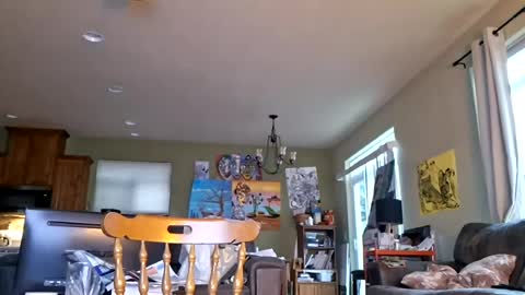 Snapshot of iminyourroom chatting on 17, 7, 2026 Iminyourroom online show from 17, 7, 2026