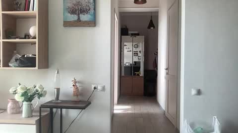 imnotall online show from 24, 11, 2025