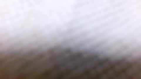 tracy online show from 28, 12, 2024