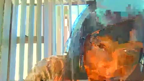 Snapshot of indiansavage1 chatting on 6, 7, 2026 rani online show from 6, 7, 2026