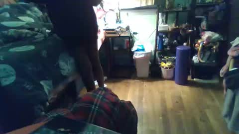 indigo_scorpio online show from 20, 2, 2026