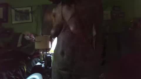 indigo_scorpio online show from 28, 4, 2026