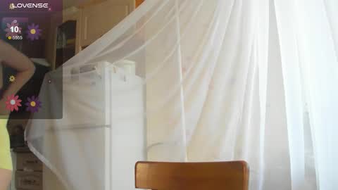 Iris online show from 12, 11, 2025