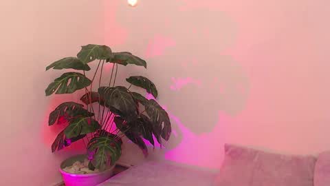 Iirs online show from 18, 4, 2026