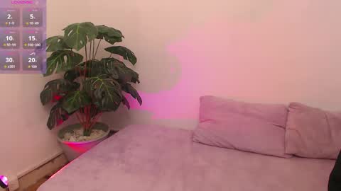 Iirs online show from 28, 4, 2026