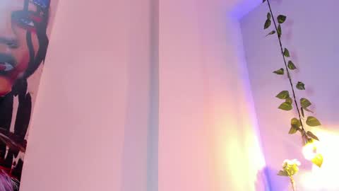   online show from 19, 1, 2025