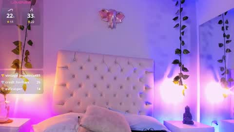   online show from 26, 2, 2025