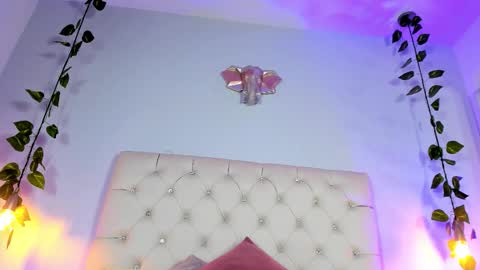   online show from 21, 11, 2025