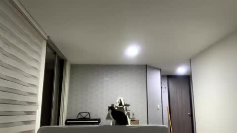 Isa online show from 16, 9, 2025