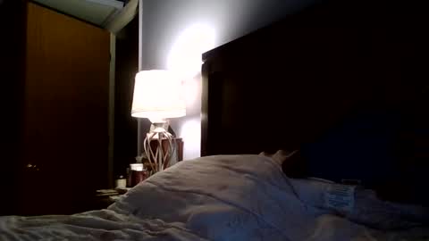 Snapshot of isiah0158 chatting on 5, 3, 2026 youngking online show from 5, 3, 2026