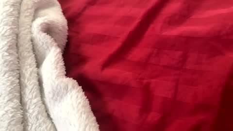 itsjayyourbae online show from 22, 11, 2025