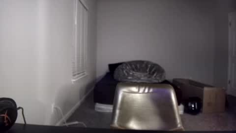 Snapshot of itstarzan chatting on 10, 12, 2024 TARZAN online show from 10, 12, 2024