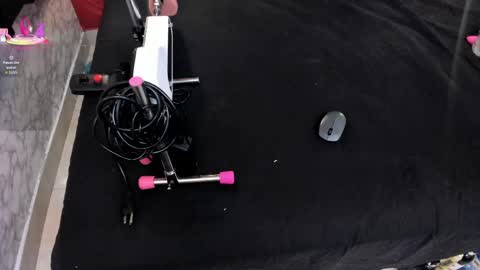 Ivis  online show from 13, 4, 2026