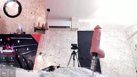 Ivis  online show from 24, 4, 2026