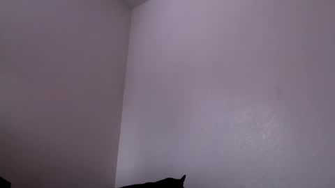 Mugen online show from 4, 2, 2025