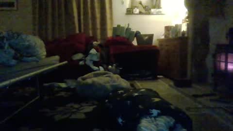 J4ckcock online show from 1, 1, 2025