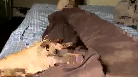 Snapshot of jaaltar chatting on 7, 5, 2026 Jaaltar online show from 7, 5, 2026