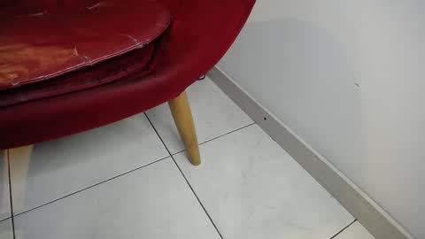 Jack Howards online show from 8, 3, 2026