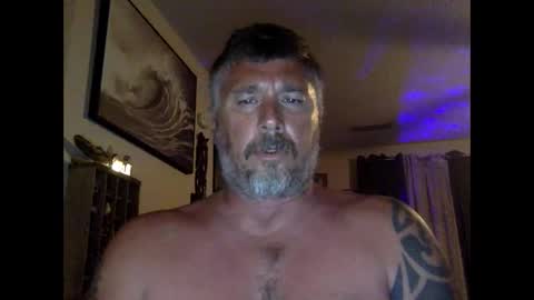 jackhammerhead online show from 24, 4, 2026