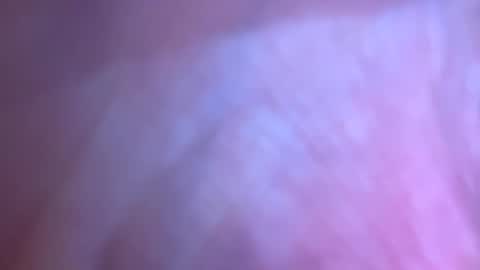 jackjackerman online show from 5, 3, 2026