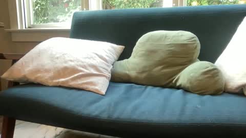 jack online show from 14, 12, 2025