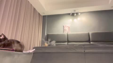 jacolandia online show from 23, 2, 2025