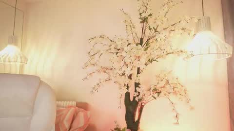 Jade Summer online show from 4, 11, 2025