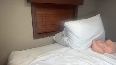 jake_brick online show from 29, 5, 2026
