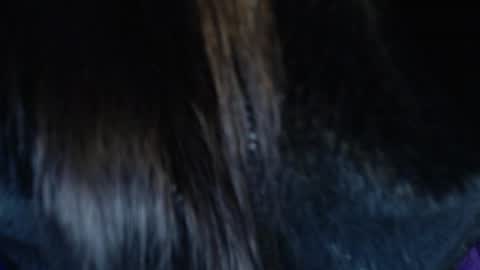 jalea_real_69 online show from 19, 7, 2026