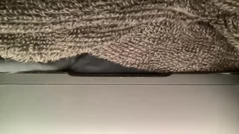 Snapshot of jameskarmin7 chatting on 18, 1, 2025 jameskarmin7 online show from 18, 1, 2025