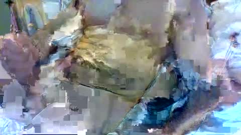 Snapshot of jameswhite5001 chatting on 8, 2, 2025 jameswhite5001 online show from 8, 2, 2025