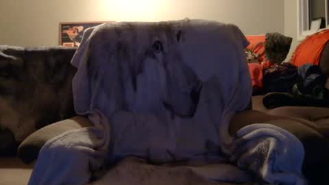 Snapshot of jameswolf777 chatting on 16, 12, 2025 jameswolf777 online show from 16, 12, 2025