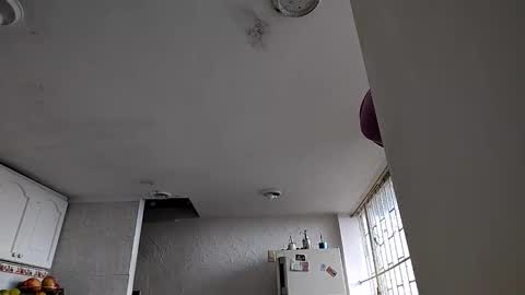 Snapshot of janariivera1 chatting on 6, 1, 2026 janariivera1 online show from 6, 1, 2026