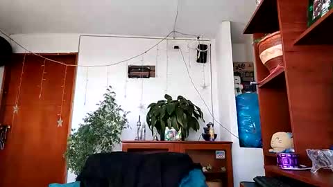 Snapshot of janariivera1 chatting on 17, 1, 2026 janariivera1 online show from 17, 1, 2026