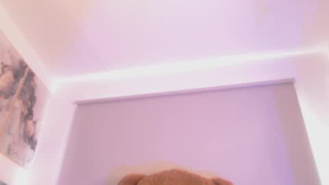 Jane online show from 17, 4, 2026