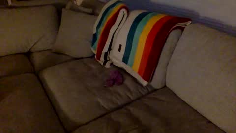 janicepepper online show from 18, 12, 2025