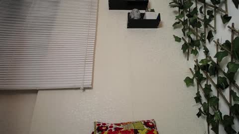 JKing  online show from 23, 1, 2025